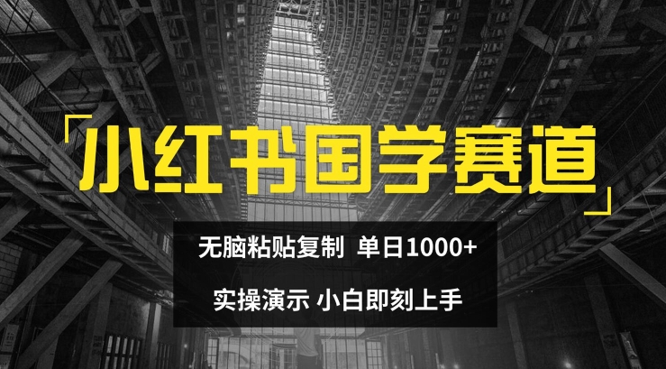 小红书国学赛道，无脑粘贴复制，单日1K，实操演示，小白即刻上手【揭秘】 - 搞薯条网-搞薯条网