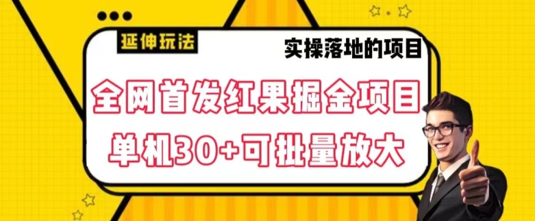 全网首发红果免费短剧掘金项目，单机30+可批量放大【揭秘】 - 搞薯条网-搞薯条网