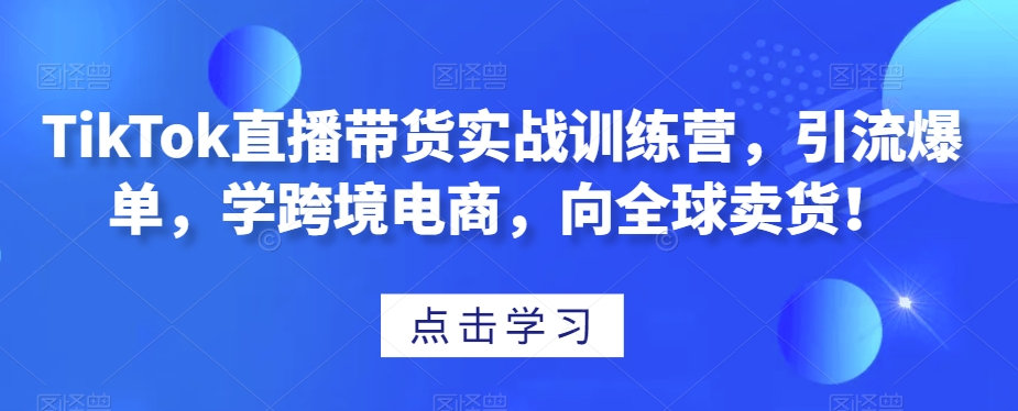 TikTok直播带货实战训练营，引流爆单，学跨境电商，向全球卖货！ - 搞薯条网-搞薯条网