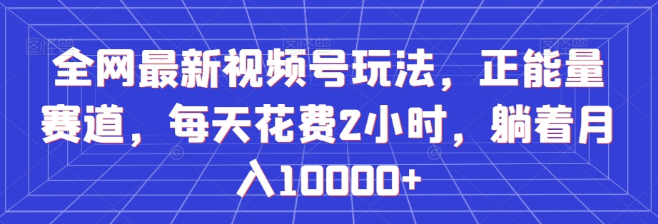 全网最新视频号玩法，正能量赛道，每天花费2小时，躺着月入10000+【揭秘】 - 搞薯条网-搞薯条网