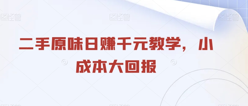 二手原味日赚千元教学，小成本大回报 - 搞薯条网-搞薯条网