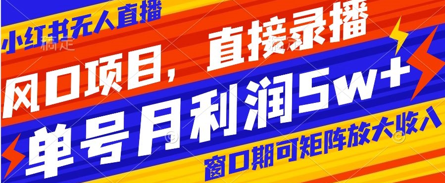 风口项目，小红书无人直播带货，直接录播，可矩阵，月入5w+【揭秘】 - 搞薯条网-搞薯条网