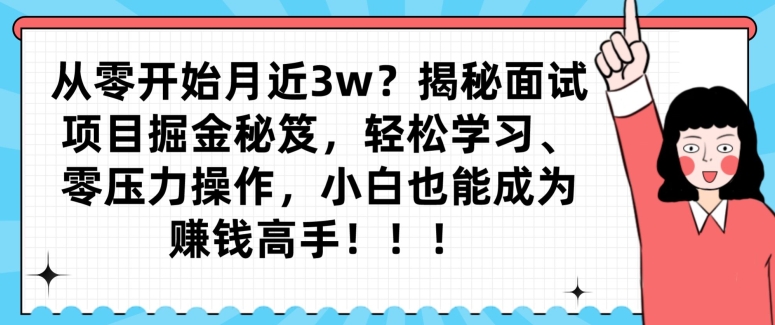 从零开始月近3w？揭秘面试项目掘金秘笈，轻松学习、零压力操作，小白也能成为赚钱高手 - 搞薯条网-搞薯条网