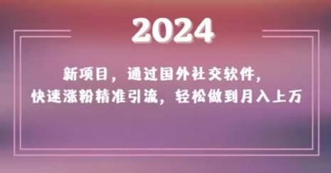 2024新项目，通过国外社交软件，快速涨粉精准引流，轻松做到月入上万【揭秘】 - 搞薯条网-搞薯条网