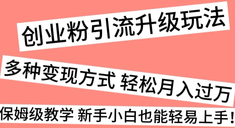 创业粉引流升级玩法，多种变现方式轻松月入过万，保姆级教学新手小白也能轻易上手！ - 搞薯条网-搞薯条网