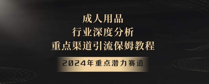 2024年重点潜力赛道，成人用品行业深度分析，重点渠道引流保姆教程【揭秘】 - 搞薯条网-搞薯条网