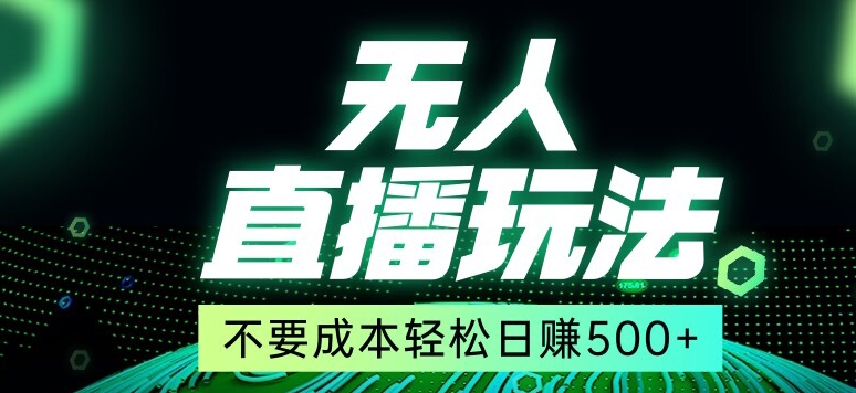 全网首发24年最新无人直播玩法，不需要成本，无需人力，一台电脑24小时为你工作 - 搞薯条网-搞薯条网