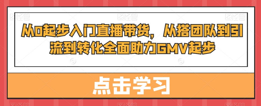 从0起步入门直播带货，​从搭团队到引流到转化全面助力GMV起步 - 搞薯条网-搞薯条网