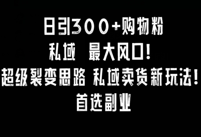 日引300+购物粉，超级裂变思路，私域卖货新玩法，小红书首选副业【揭秘】 - 搞薯条网-搞薯条网