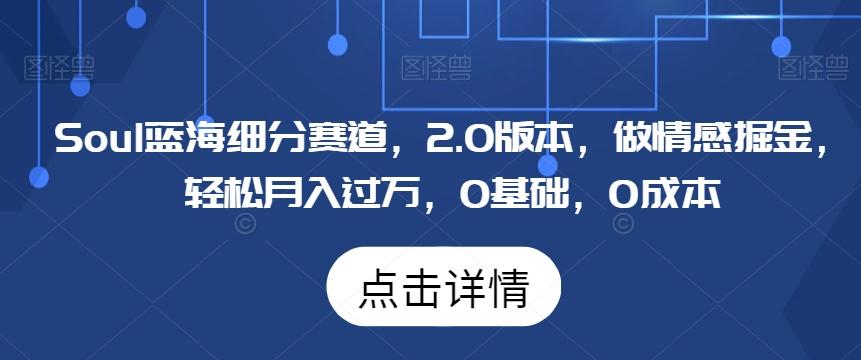 Soul蓝海细分赛道，2.0版本，做情感掘金，轻松月入过万，0基础，0成本 - 搞薯条网-搞薯条网