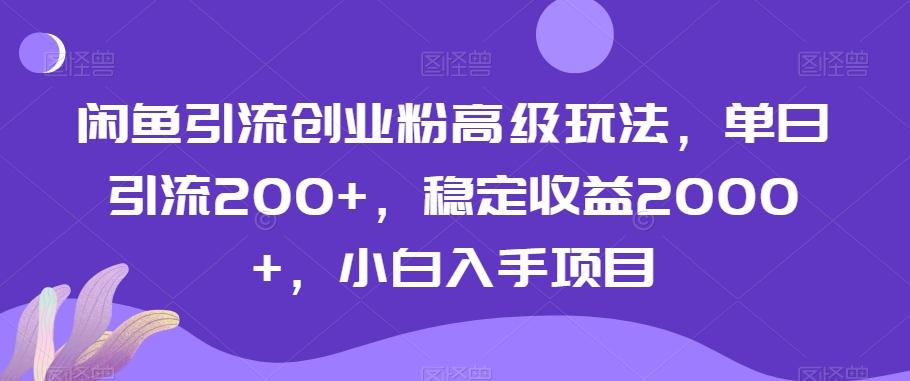 闲鱼引流创业粉高级玩法，单日引流200+，稳定收益2000+，小白入手项目 - 搞薯条网-搞薯条网