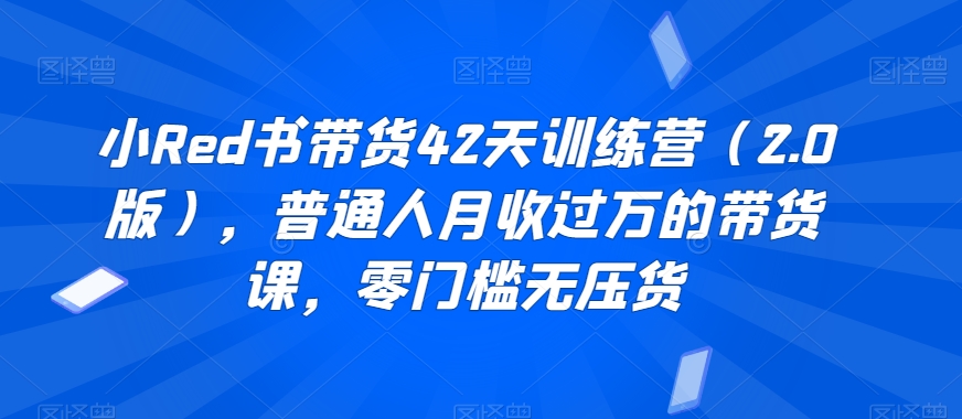 小Red书带货42天训练营(2.0版)，普通人月收过万的带货课，零门槛无压货 - 搞薯条网-搞薯条网