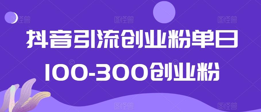 抖音引流创业粉单日100-300创业粉【揭秘】 - 搞薯条网-搞薯条网