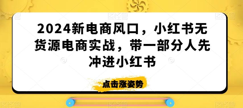 2024新电商风口，小红书无货源电商实战，带一部分人先冲进小红书 - 搞薯条网-搞薯条网