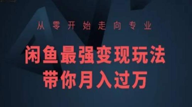 从零开始走向专业，闲鱼最强变现玩法带你月入过万 - 搞薯条网-搞薯条网