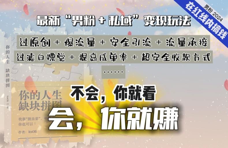 2024，“男粉+私域”还是最耐造、最赚、最轻松、最愉快的变现方式【揭秘】 - 搞薯条网-搞薯条网