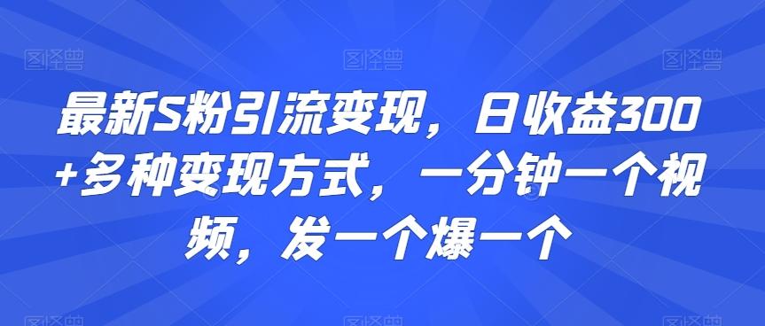 最新S粉引流变现，日收益300+多种变现方式，一分钟一个视频，发一个爆一个【揭秘】 - 搞薯条网-搞薯条网