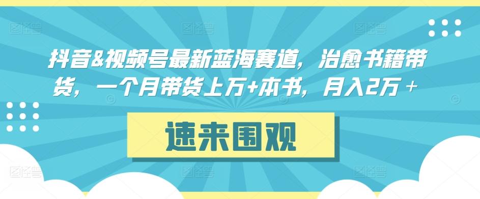 抖音&视频号最新蓝海赛道，治愈书籍带货，一个月带货上万+本书，月入2万＋【揭秘】 - 搞薯条网-搞薯条网