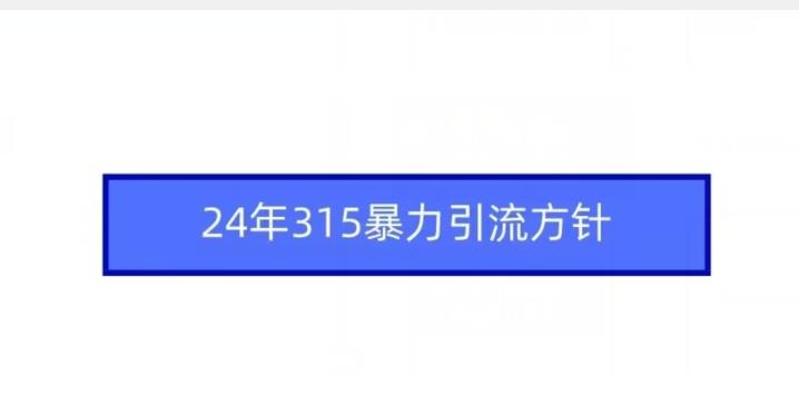 24年315暴力引流方针 - 搞薯条网-搞薯条网