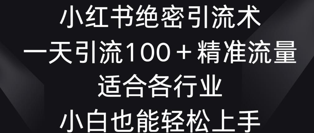 小红书绝密引流术，一天引流100+精准流量，适合各个行业，小白也能轻松上手【揭秘】 - 搞薯条网-搞薯条网