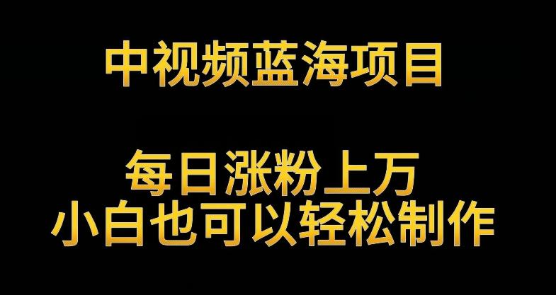 中视频蓝海项目，解读英雄人物生平，每日涨粉上万，小白也可以轻松制作，月入过万不是梦【揭秘】 - 搞薯条网-搞薯条网