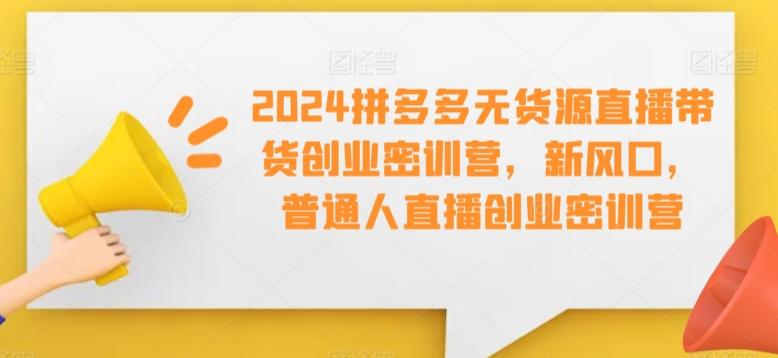 2024拼多多无货源直播带货创业密训营，新风口，普通人直播创业密训营 - 搞薯条网-搞薯条网