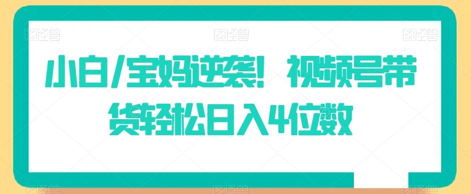 小白/宝妈逆袭！视频号带货轻松日入4位数【揭秘】 - 搞薯条网-搞薯条网