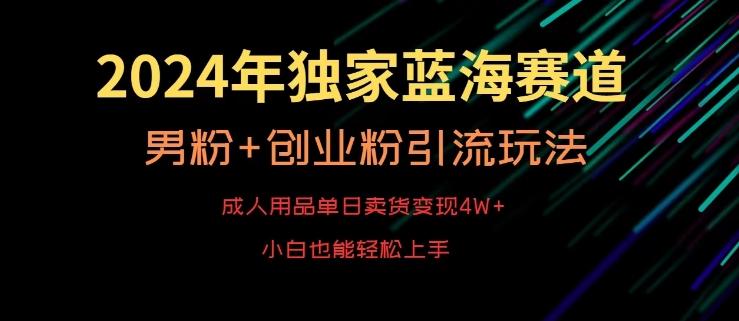 2024年独家蓝海赛道，成人用品单日卖货变现4W+，男粉+创业粉引流玩法，不愁搞不到流量【揭秘】 - 搞薯条网-搞薯条网