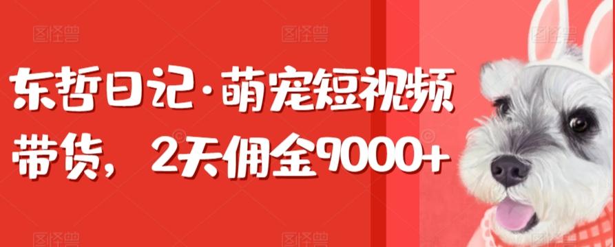 东哲日记·萌宠短视频带货，2天佣金9000+ - 搞薯条网-搞薯条网