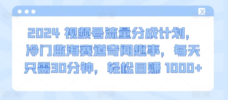 2024视频号流量分成计划，冷门监海赛道奇闻趣事，每天只需30分钟，轻松目赚 1000+【揭秘】 - 搞薯条网-搞薯条网