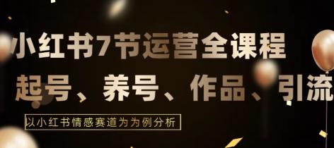 7节小红书运营实战全教程，结合最新情感赛道，打通小红书运营全流程【揭秘】 - 搞薯条网-搞薯条网