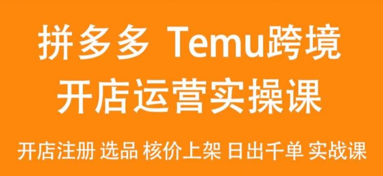 2024Temu最新玩法，Temu跨境开店运营实操课，开店注册/选品/核价上架/日出千单实战课 - 搞薯条网-搞薯条网