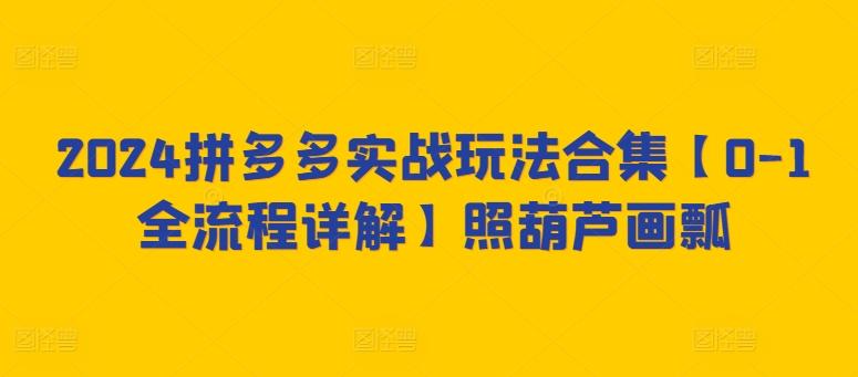 2024拼多多实战玩法合集【0-1全流程详解】照葫芦画瓢 - 搞薯条网-搞薯条网