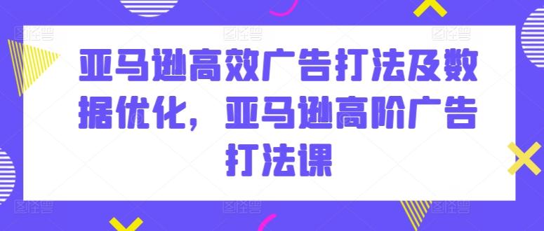 亚马逊高效广告打法及数据优化，亚马逊高阶广告打法课 - 搞薯条网-搞薯条网