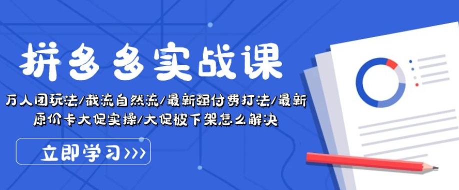 拼多多实战课：万人团玩法/截流自然流/最新强付费打法/最新原价卡大促.. - 搞薯条网-搞薯条网