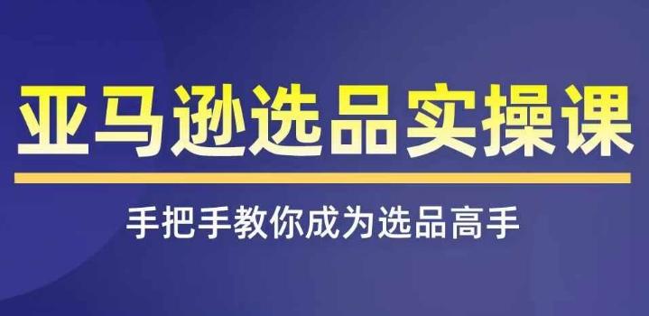 亚马逊选品实操课程，快速掌握亚马逊选品的技巧，覆盖亚马逊选品所有渠道 - 搞薯条网-搞薯条网