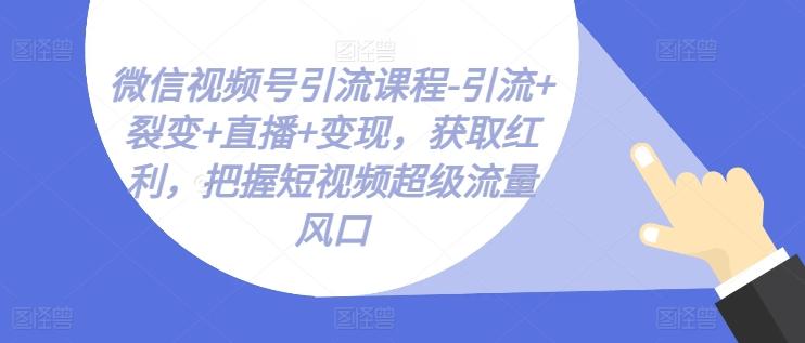 微信视频号引流课程-引流+裂变+直播+变现，获取红利，把握短视频超级流量风口 - 搞薯条网-搞薯条网