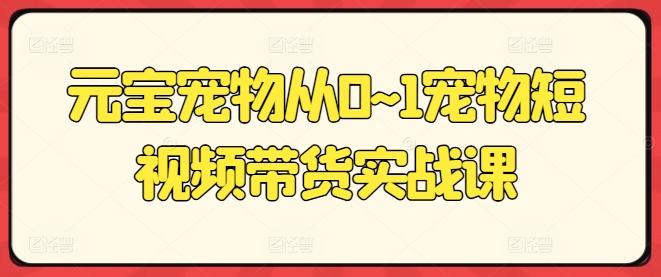 元宝宠物从0~1宠物短视频带货实战课 - 搞薯条网-搞薯条网