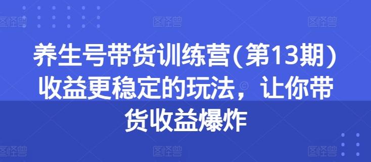 养生号带货训练营(第13期)收益更稳定的玩法，让你带货收益爆炸 - 搞薯条网-搞薯条网