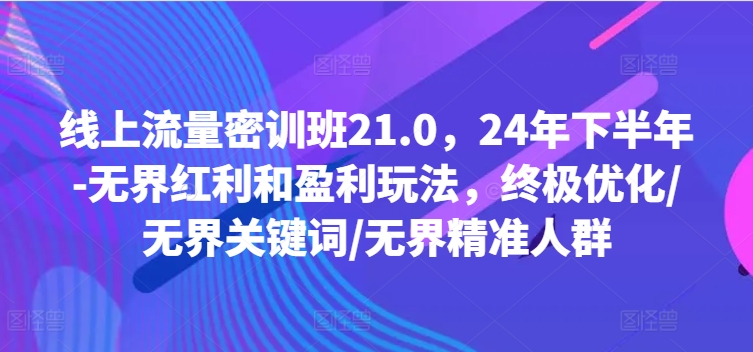 线上流量密训班21.0，24年下半年-无界红利和盈利玩法，终极优化/无界关键词/无界精准人群 - 搞薯条网-搞薯条网