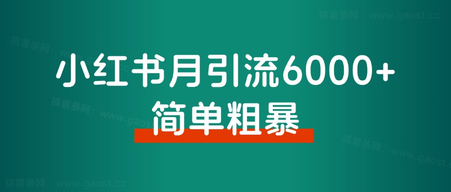 小红书月引流6000+，简单粗暴！从博主玩法迭代矩阵玩法2.0版，经验分享 - 搞薯条网-搞薯条网