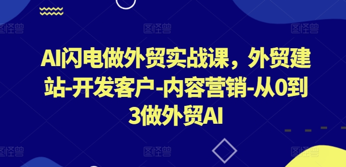 AI闪电做外贸实战课，​外贸建站-开发客户-内容营销-从0到3做外贸AI(更新) - 搞薯条网-搞薯条网