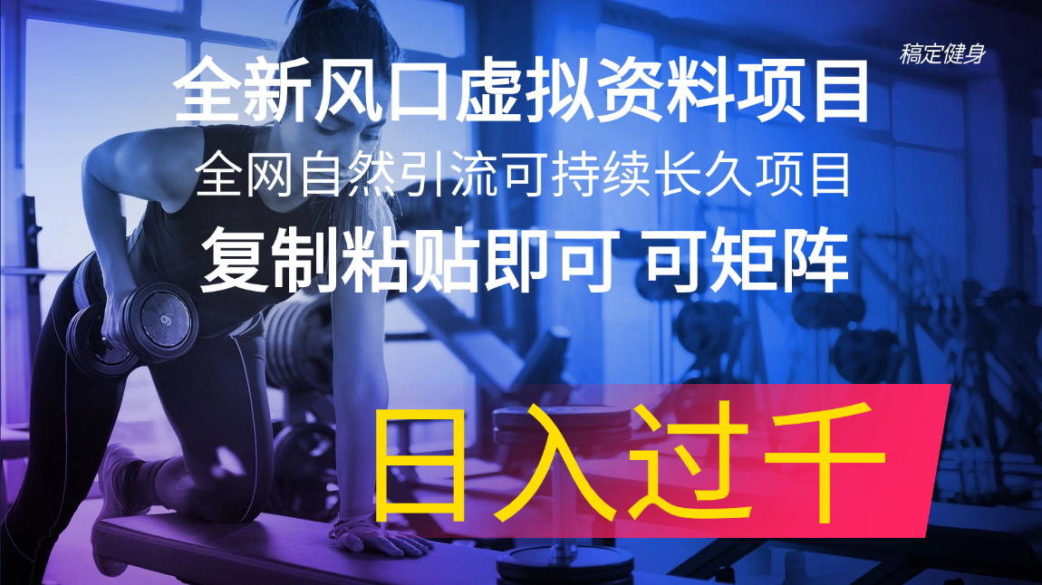 全新风口虚拟资料项目 全网自然引流可持续长久项目 复制粘贴即可可矩阵… - 搞薯条网-搞薯条网