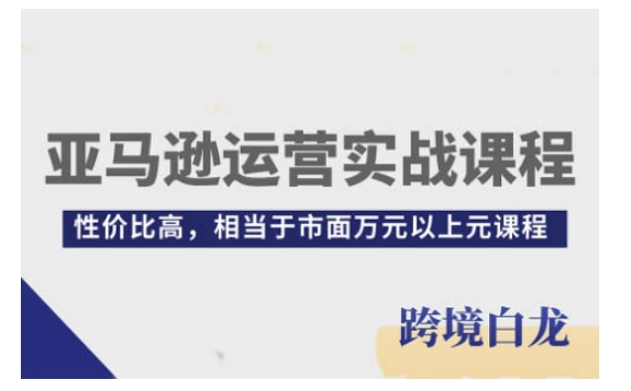 亚马逊运营实战课程，亚马逊从入门到精通，性价比高，相当于市面万元以上元课程 - 搞薯条网-搞薯条网