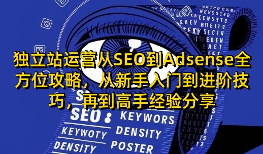 独立站运营从SEO到Adsense全方位攻略，从新手入门到进阶技巧，再到高手经验分享 - 搞薯条网-搞薯条网