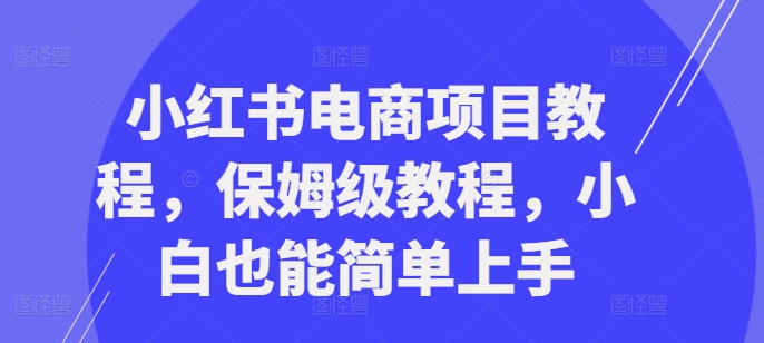 小红书电商项目教程，保姆级教程，小白也能简单上手 - 搞薯条网-搞薯条网