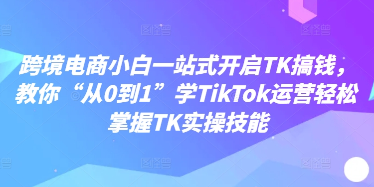 跨境电商小白一站式开启TK搞钱，教你“从0到1”学TikTok运营轻松掌握TK实操技能 - 搞薯条网-搞薯条网