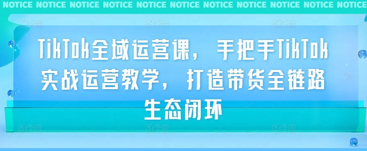 TikTok全域运营课，手把手TikTok实战运营教学，打造带货全链路生态闭环 - 搞薯条网-搞薯条网