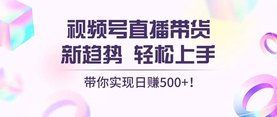 视频号直播带货新趋势，轻松上手，带你实现日赚500+ - 搞薯条网-搞薯条网