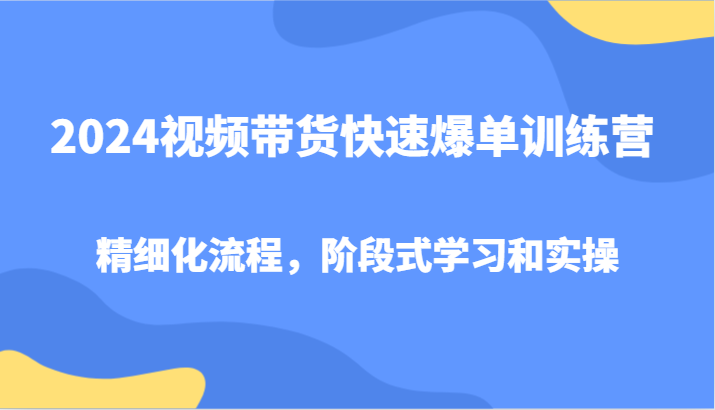 2024视频带货快速爆单训练营，精细化流程，阶段式学习和实操 - 搞薯条网-搞薯条网